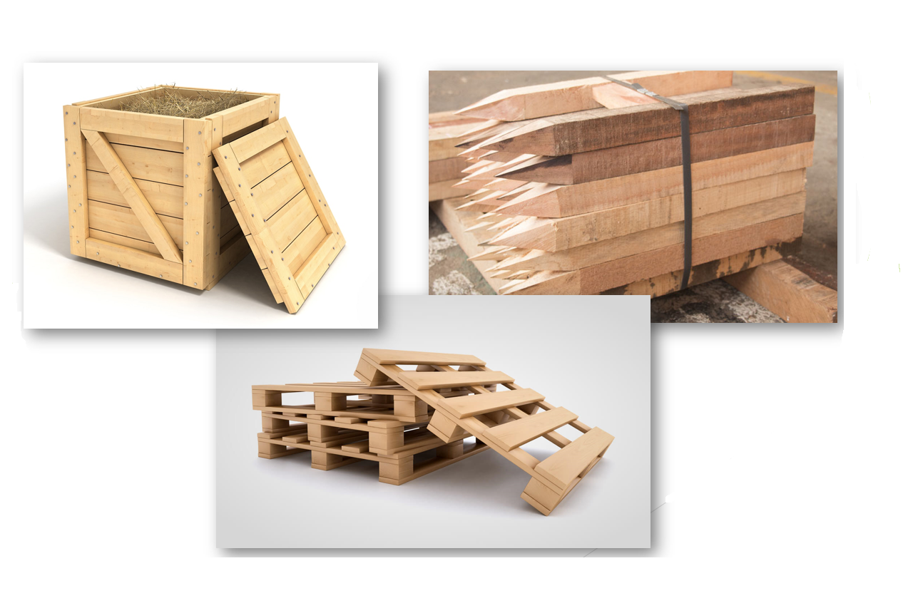 Servicios Especiales